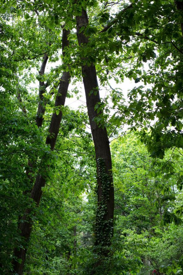 Buitenplaats Petersburg Arnhem Extérieur photo